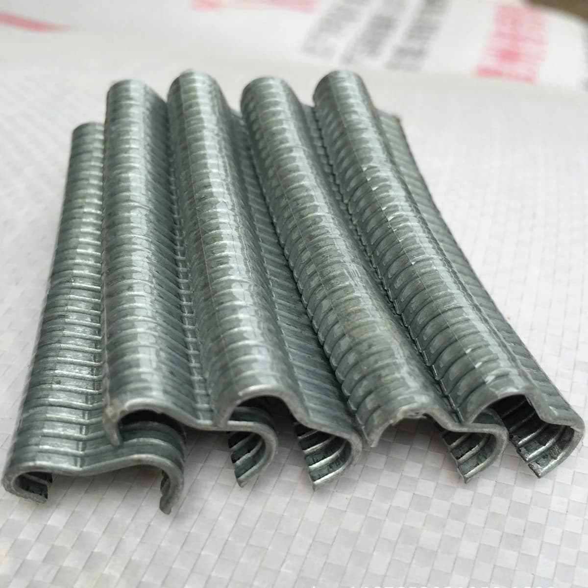 Pince à anneaux porcins avec 600 clips en acier inoxydable