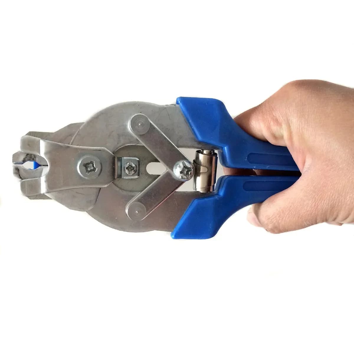Pince pour anneaux porcins avec 600pcs clips en acier inoxydable